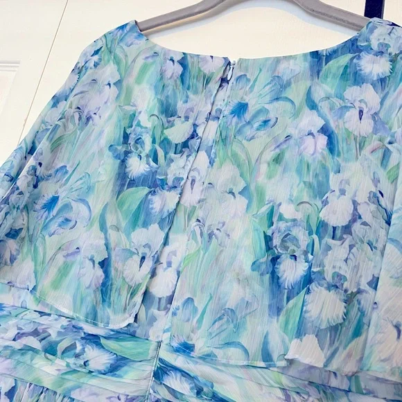 Adrianna Papell Blue and Green Floral Maxi Dress 14W - Picture 6 of 11